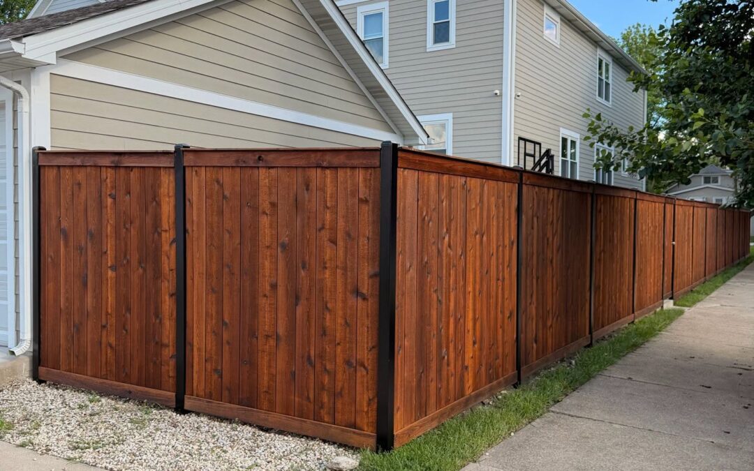 Cedar Privacy Fence Staining in Chicago, IL
