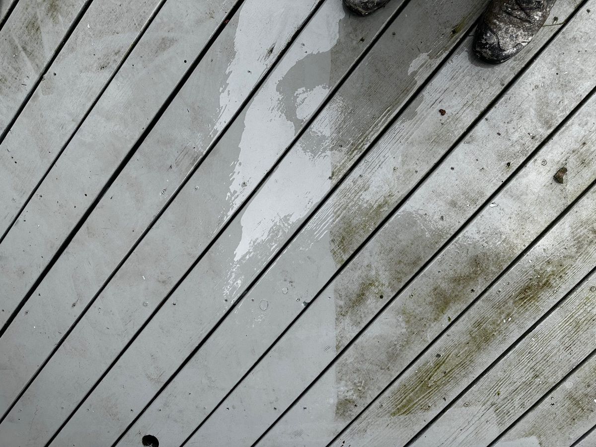 Deck boards with green mildew on the right and clean, lighter wood where it has been washed
